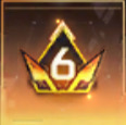 golden badge with number 6